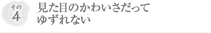 その4 見た目のかわいさだってゆずれない